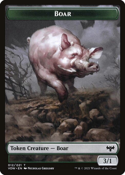 Boar (Common)
