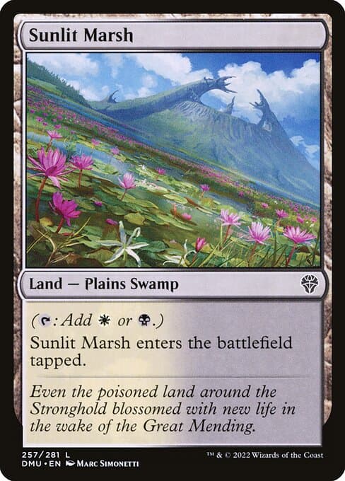 Sunlit Marsh from Dominaria United (Common)