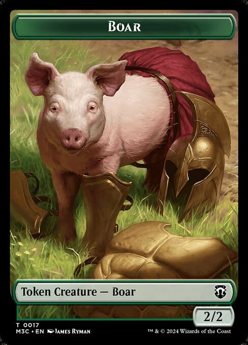 Boar (Common)