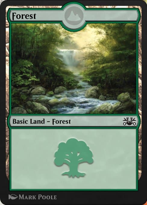 Forest (Common)