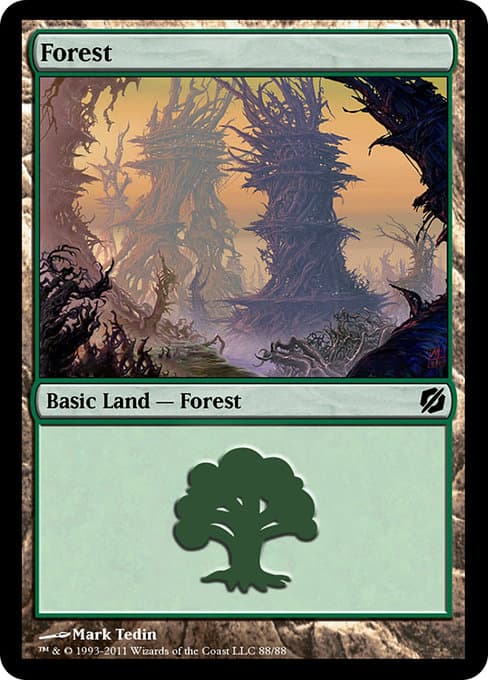 Forest (Common)