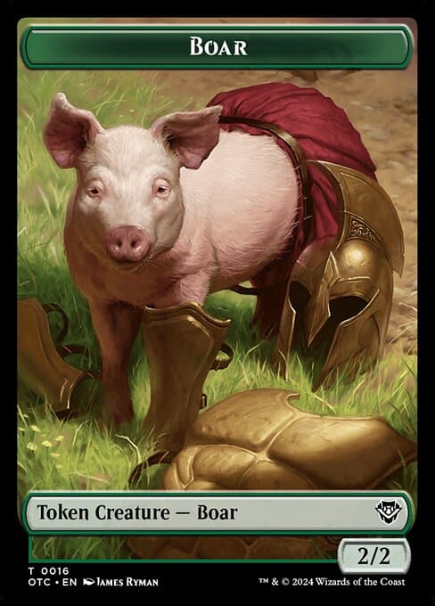 Boar (Common)