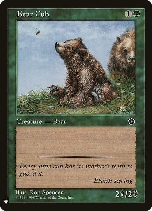 Bear Cub from The List (Common)