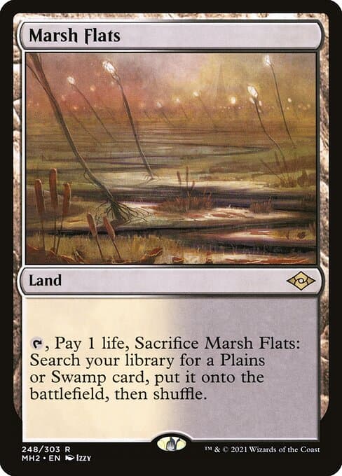 Marsh Flats from Modern Horizons 2 (Rare)