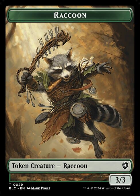 Raccoon (Common)
