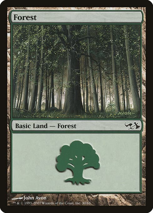 Forest (Common)