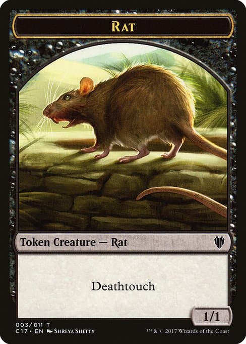 Rat (Common)