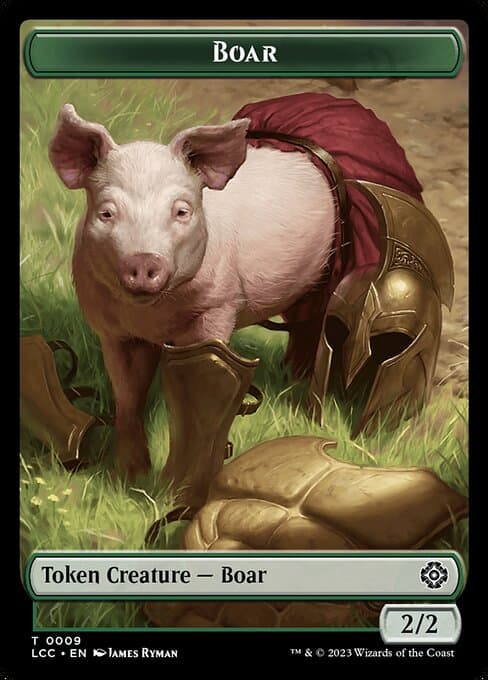 Boar (Common)