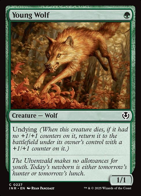 Young Wolf from Innistrad Remastered (Common)