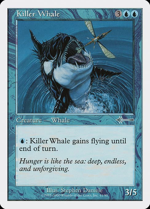 Killer Whale (Uncommon)