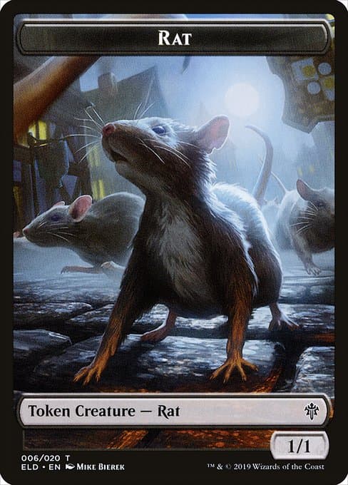 Rat (Common)