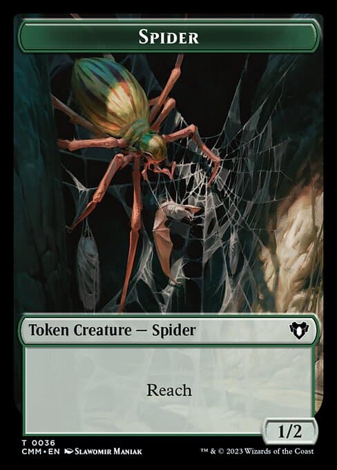 Spider (Common)
