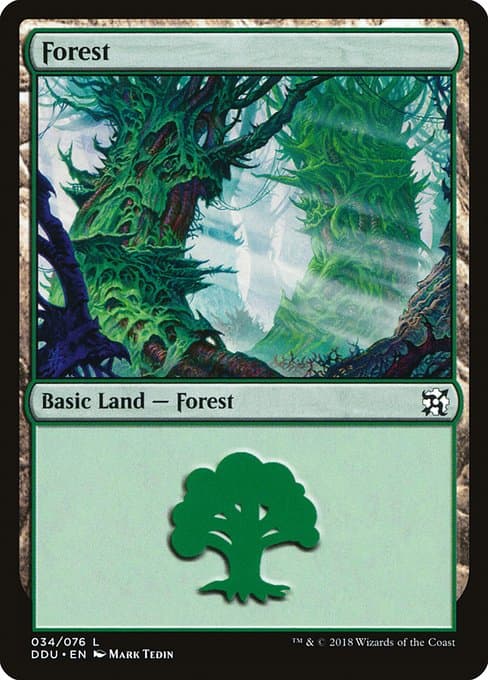 Forest (Common)