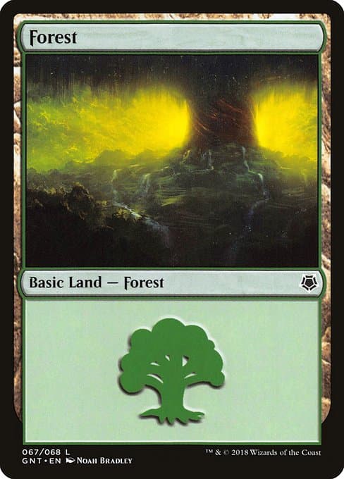 Forest (Common)