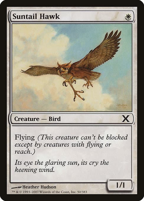 Suntail Hawk from Tenth Edition (Common)