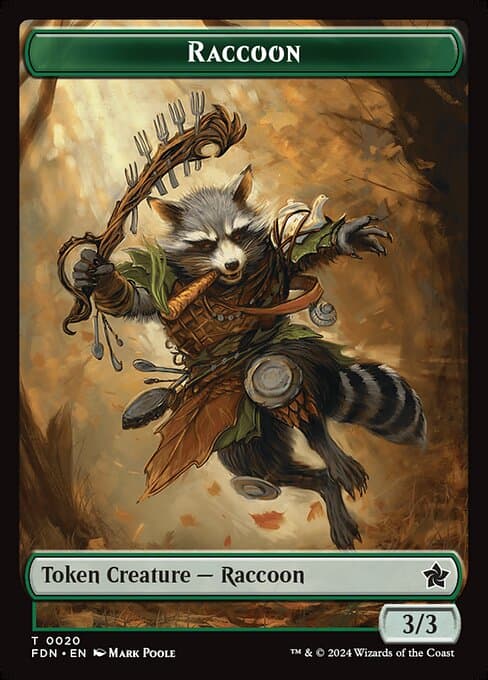 Raccoon (Common)