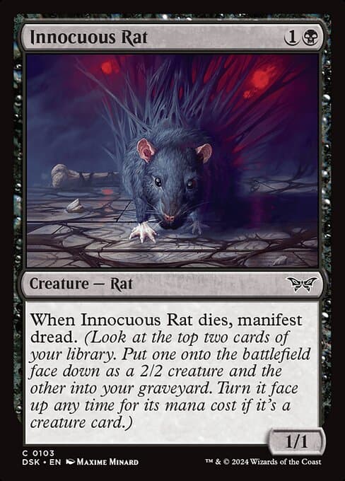 Innocuous Rat (Common)