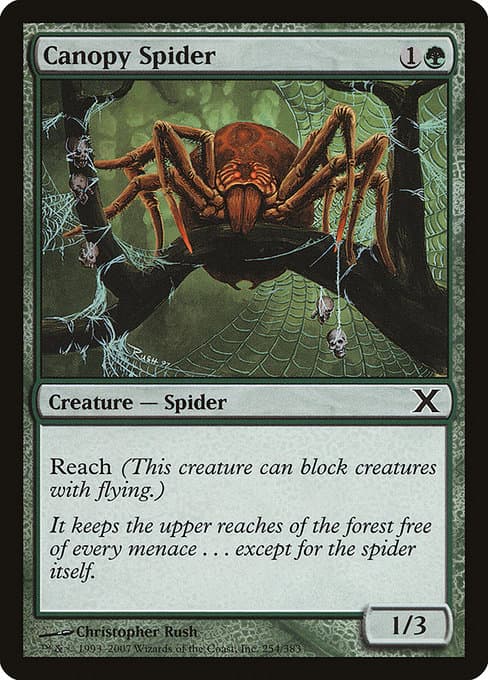 Canopy Spider from Tenth Edition (Common)