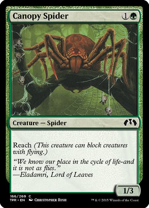 Canopy Spider from Tempest Remastered (Common)