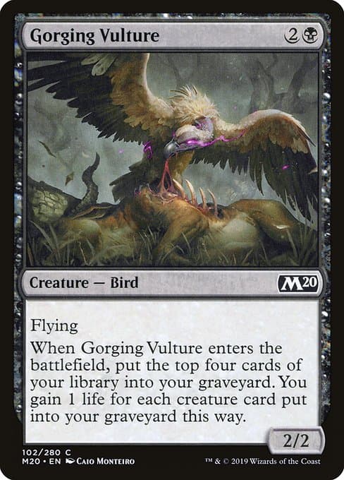 Gorging Vulture from Core Set 2020 (Common)