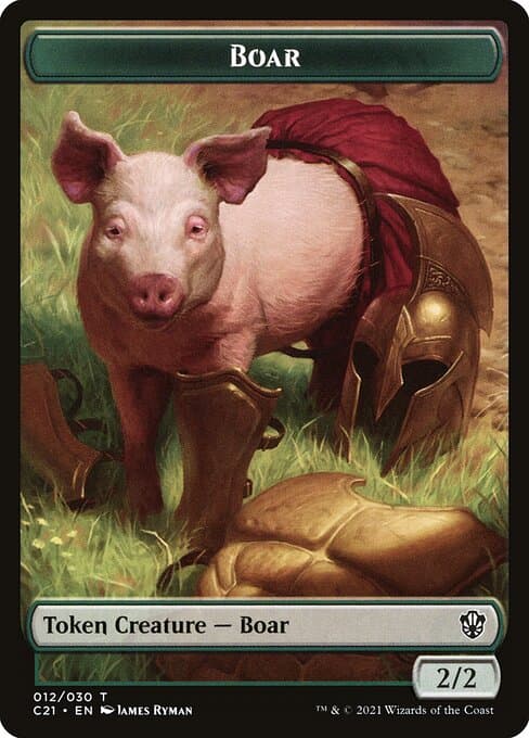 Boar (Common)