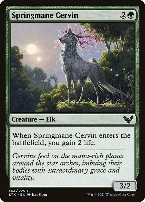 Springmane Cervin (Common)