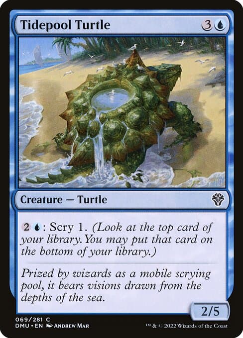 Tidepool Turtle from Dominaria United (Common)
