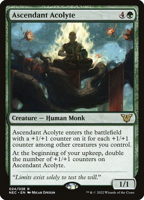 Ascendant Acolyte from Neon Dynasty Commander (Rare)