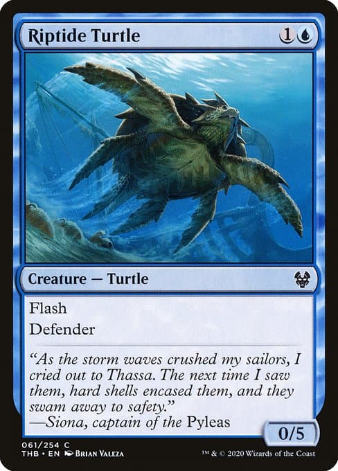 Riptide Turtle (Common)