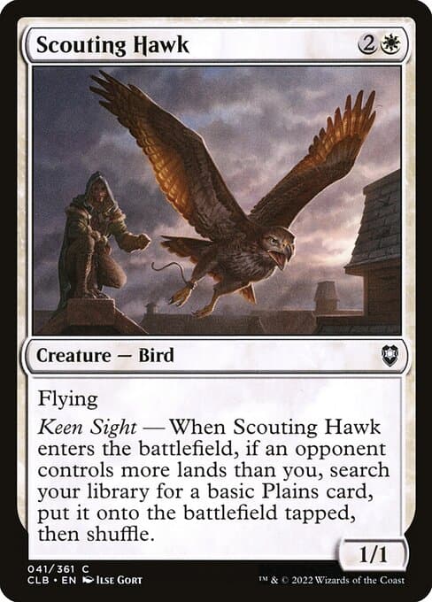 Scouting Hawk (Common)