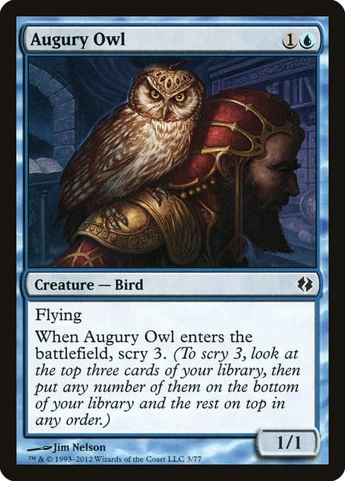 Augury Owl (Common)