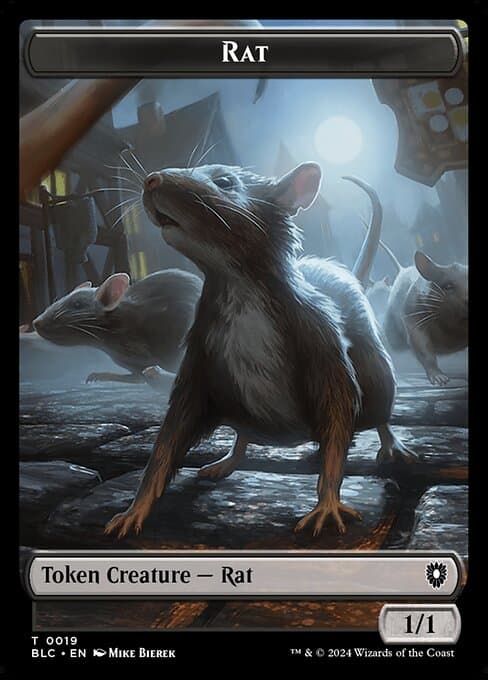 Rat (Common)