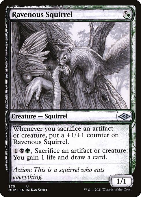 Ravenous Squirrel from Modern Horizons 2 (Uncommon)