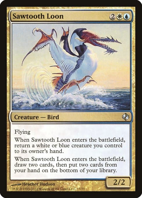 Sawtooth Loon (Uncommon)