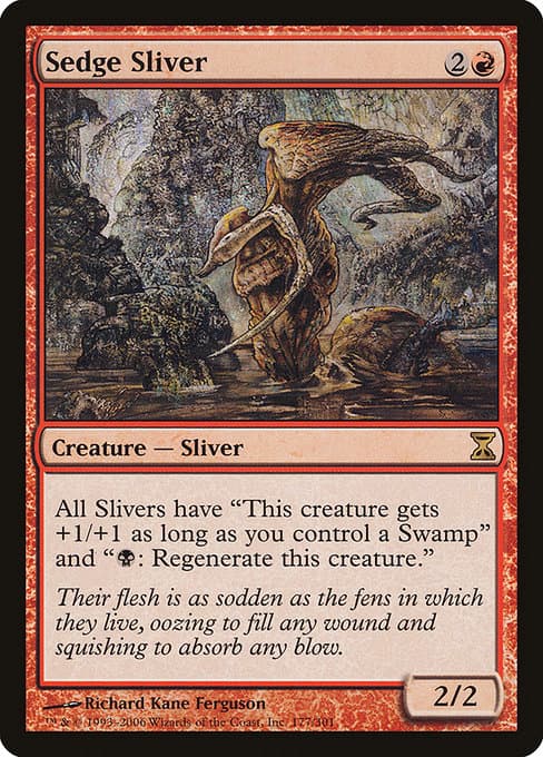 Sedge Sliver from Time Spiral (Rare)