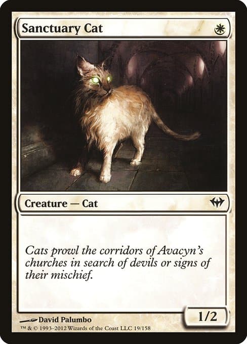 Sanctuary Cat from Dark Ascension (Common)