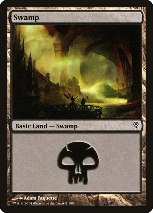 Swamp (Common)