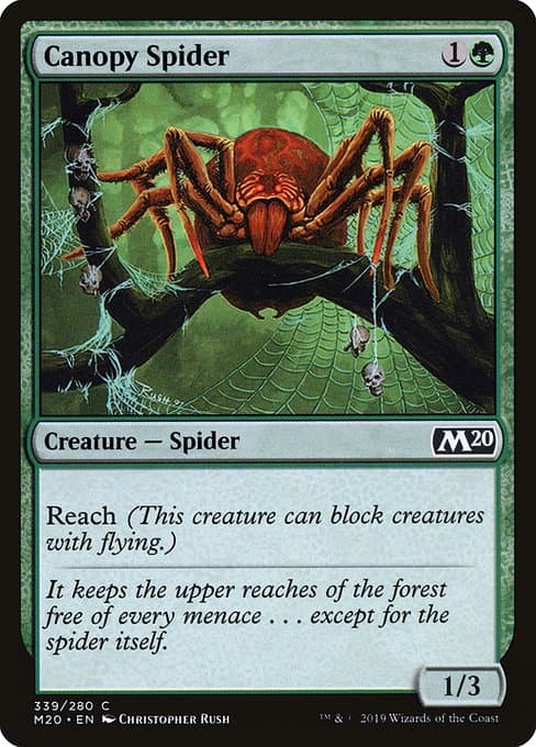 Canopy Spider from Core Set 2020 (Common)