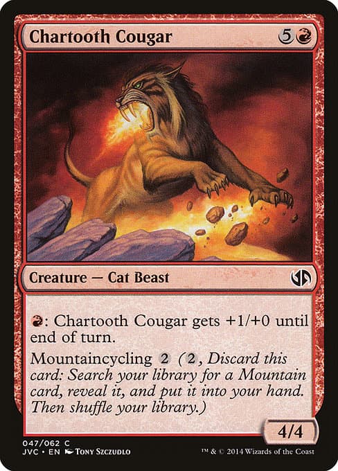 Chartooth Cougar (Common)