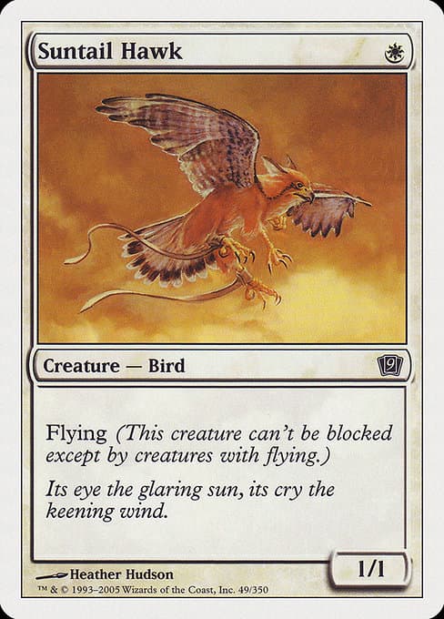 Suntail Hawk from Ninth Edition (Common)