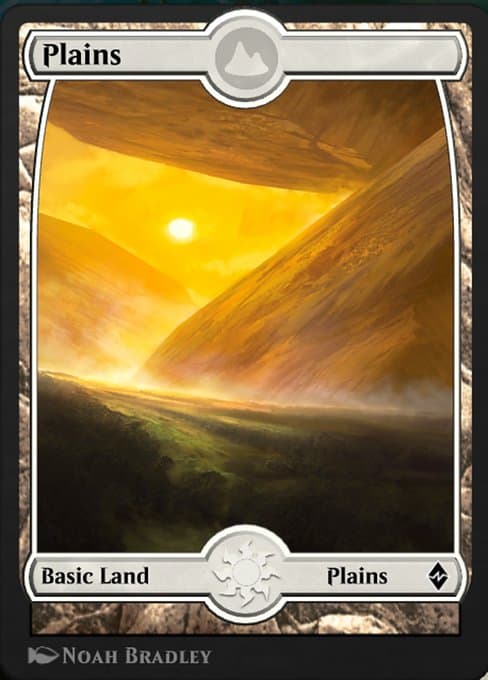 Plains (Common)