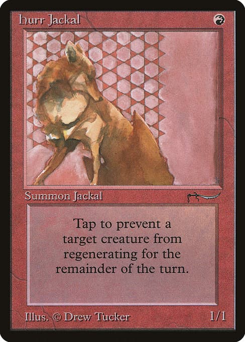 Hurr Jackal (Common)