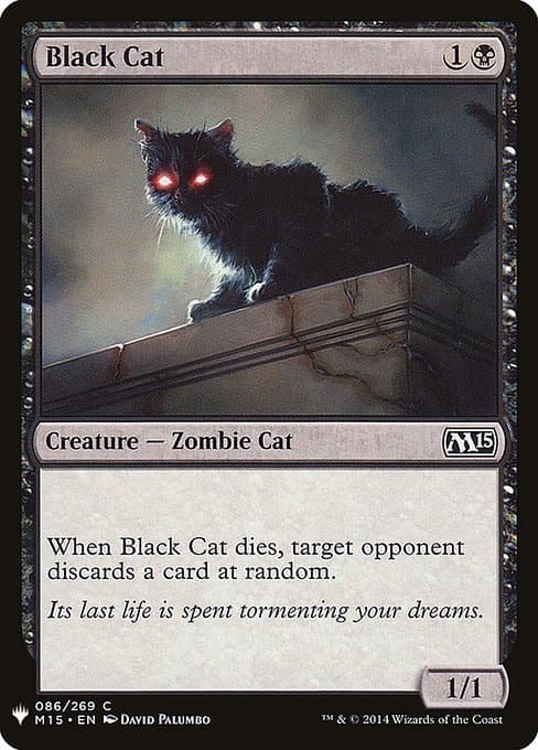 Black Cat from The List (Common)