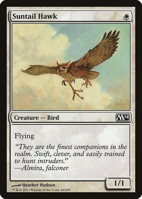 Suntail Hawk from Magic 2014 (Common)