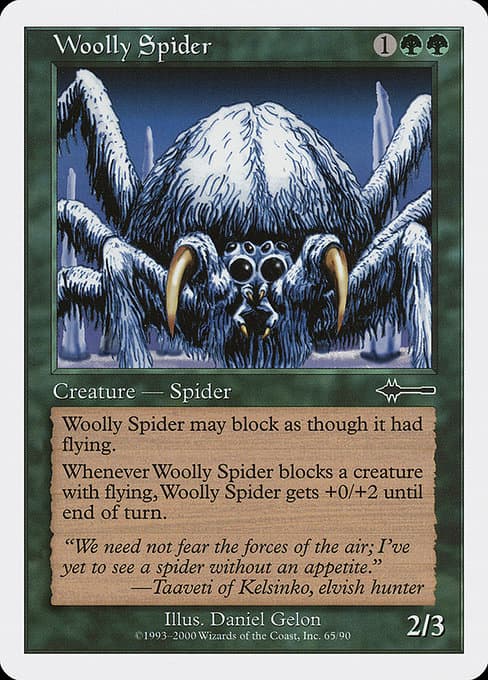 Woolly Spider (Common)