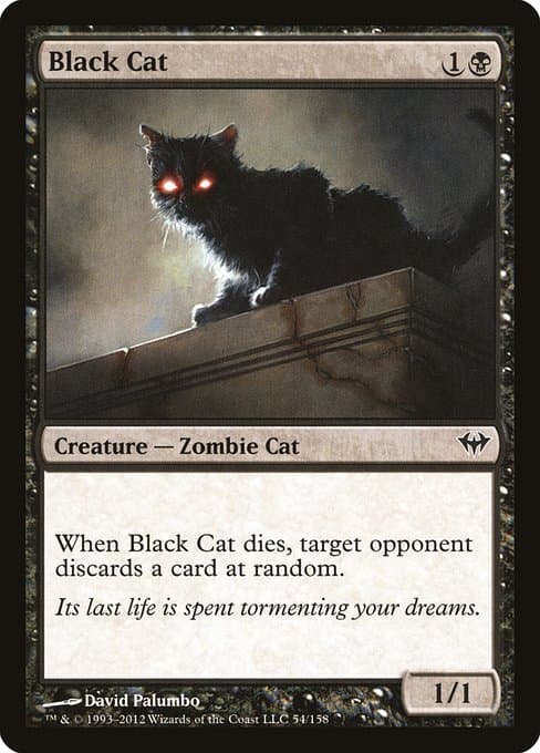 Black Cat from Dark Ascension (Common)