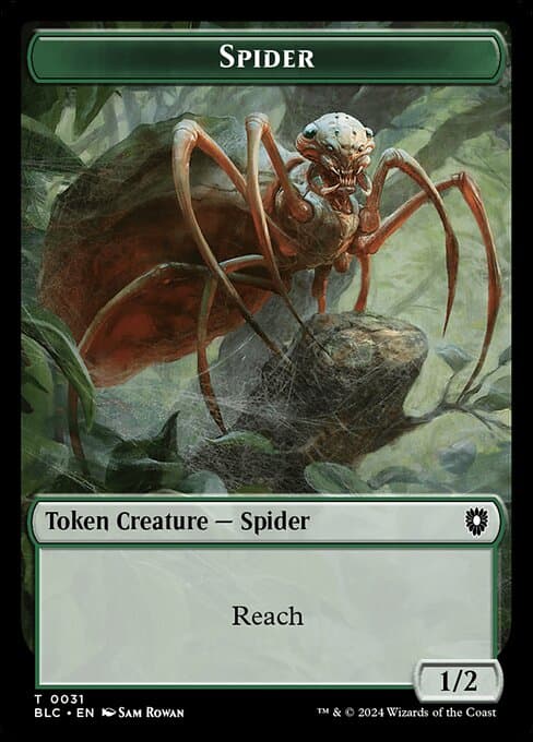 Spider (Common)