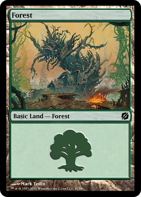 Forest (Common)