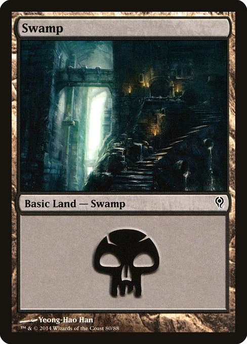 Swamp (Common)