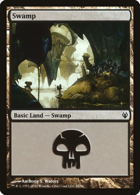 Swamp (Common)